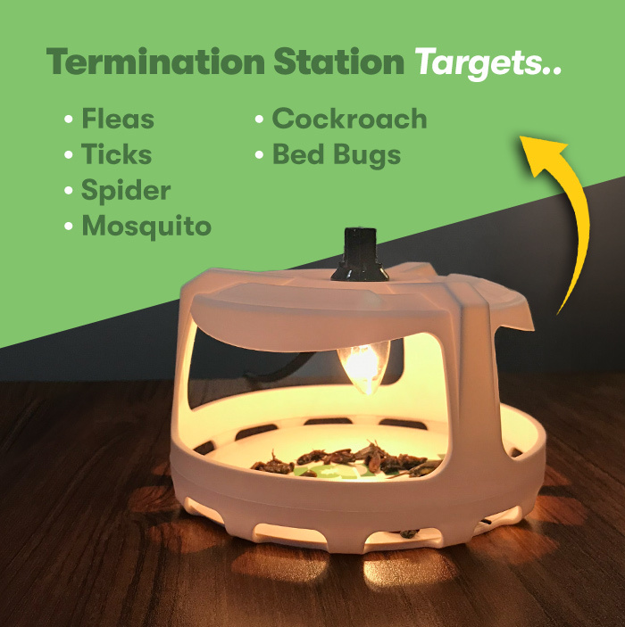Termination Station